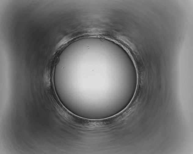 X0000116271451200911301204