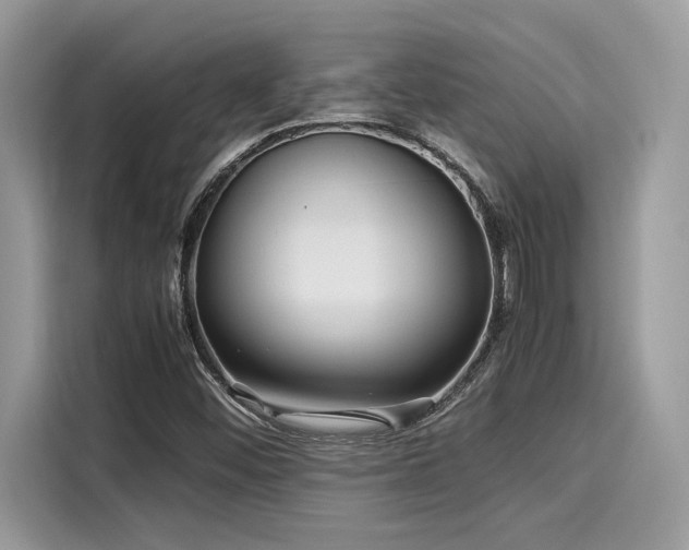 X0000116271452200911301204