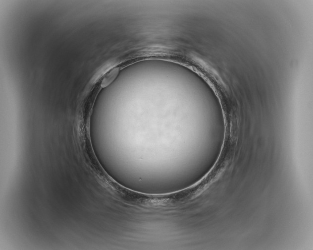X0000116271453200911301204