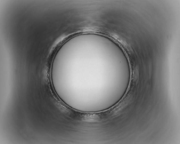 X0000116271454200911301204