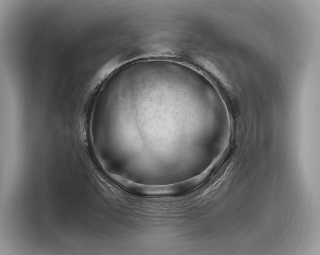 X0000116271455200911301204