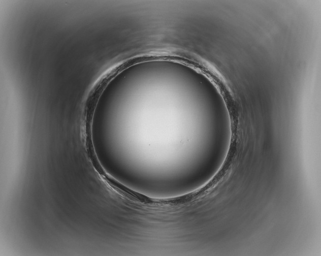 X0000116271456200911301204
