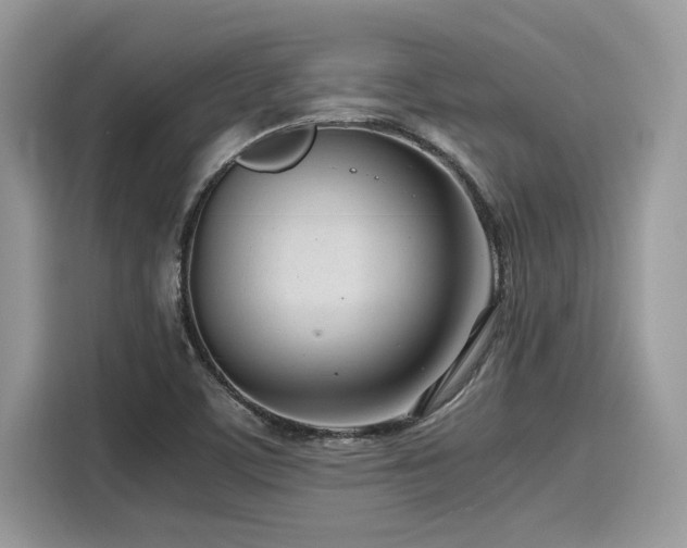 X0000116271459200911301203