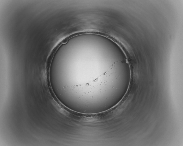 X0000116271460200911301203
