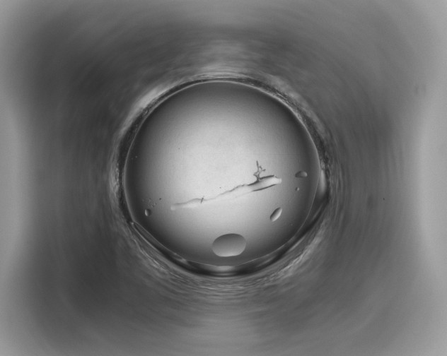 X0000116271461200911301203