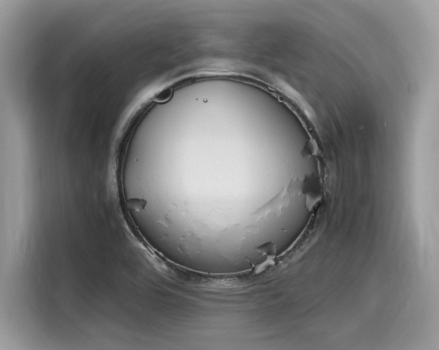 X0000116271464200911301203