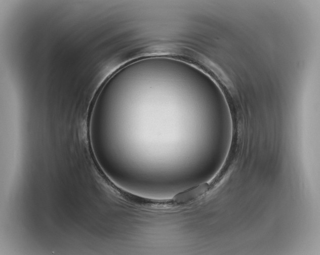 X0000116271465200911301203