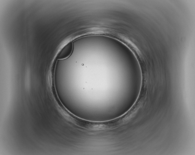 X0000116271467200911301203