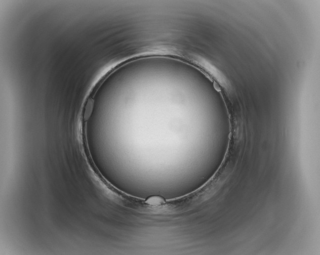 X0000116271468200911301203