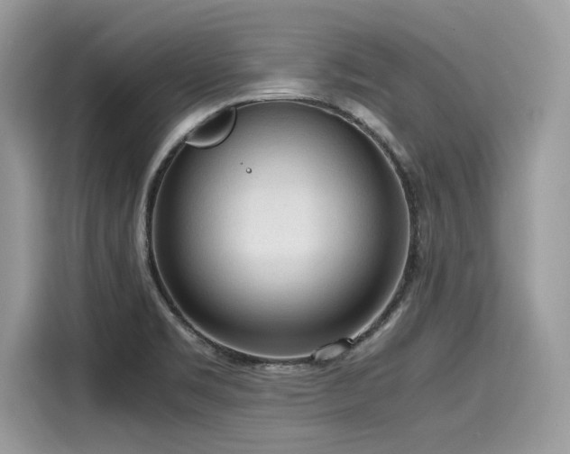 X0000116271469200911301203