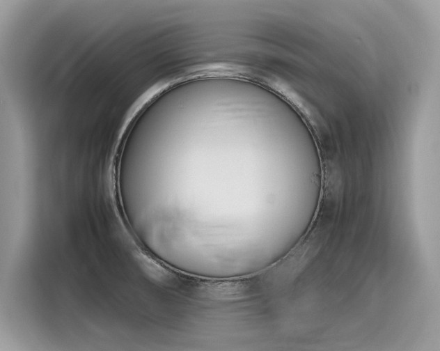 X0000116271474200911301203