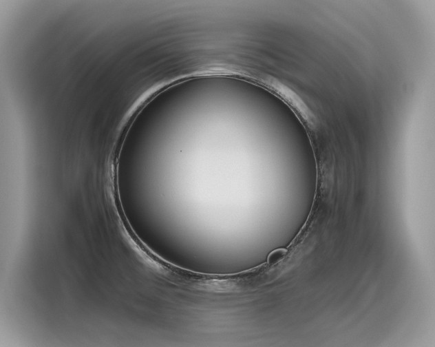 X0000116271476200911301203