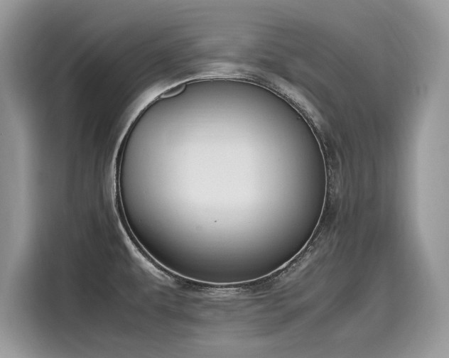 X0000116271479200911301203