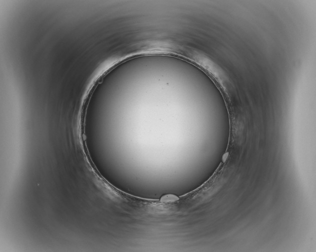 X0000116271480200911301203