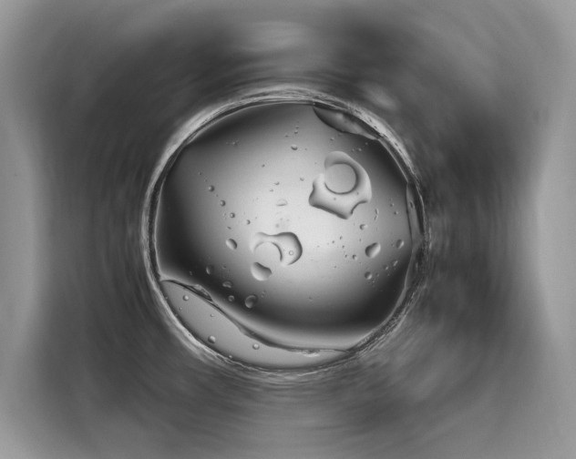 X0000116271482200911301203