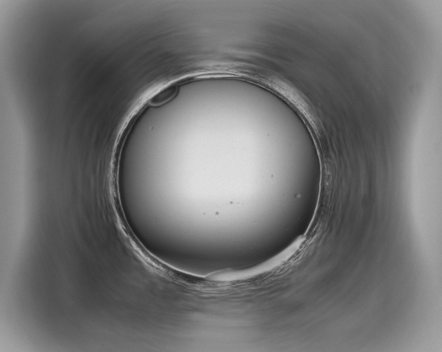 X0000116271485200911301203