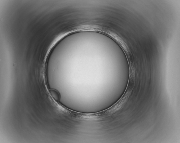 X0000116271486200911301203