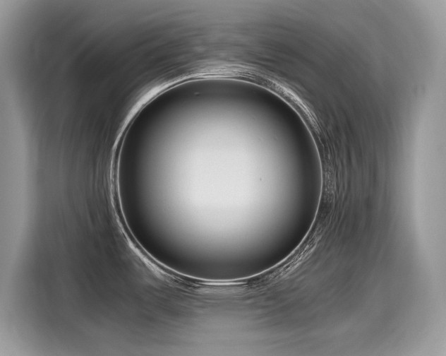 X0000116271487200911301203