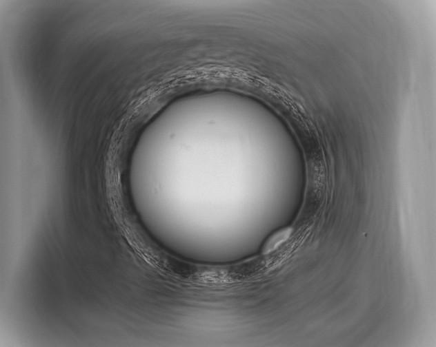 X0000116271489200911301202