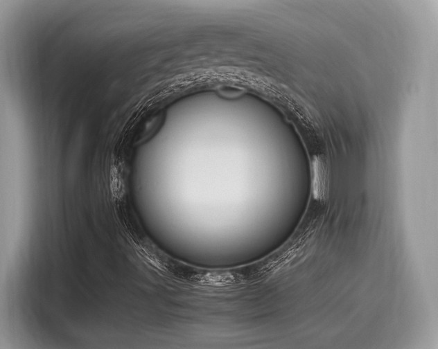 X0000116271491200911301203