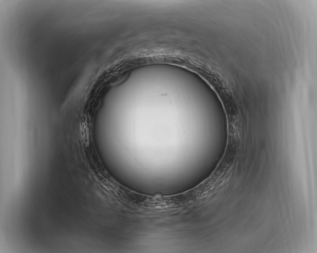 X0000116271493200911301203