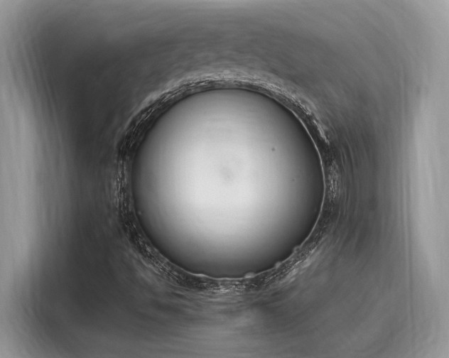 X0000116271494200911301203