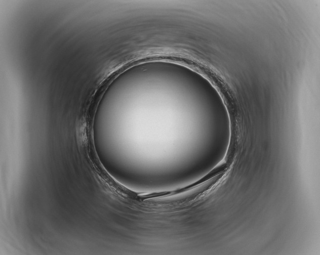 X0000116271497200911301203