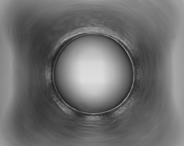 X0000116271499200911301203