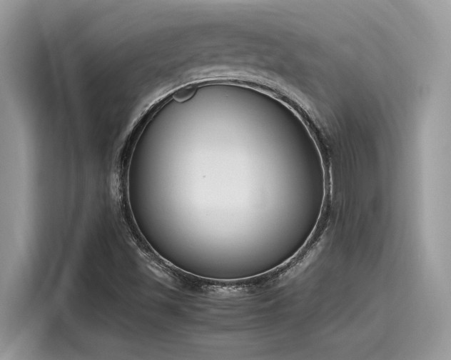 X0000116271501200911301203