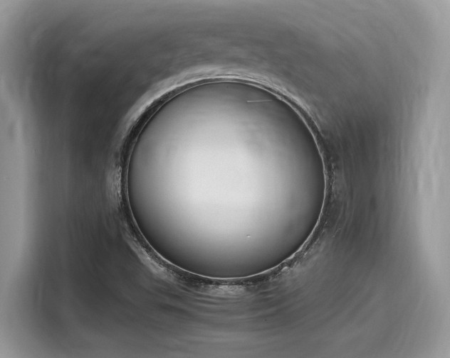 X0000116271503200911301203