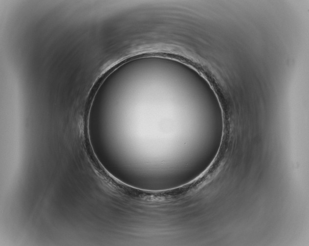 X0000116271505200911301203
