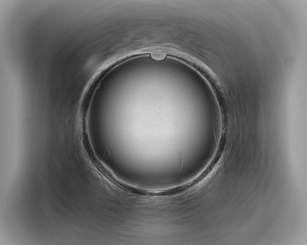 X0000116271506200911301203