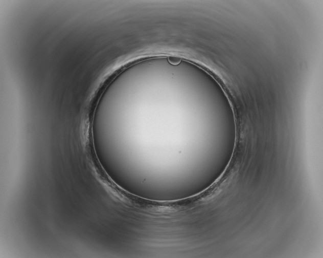 X0000116271507200911301203