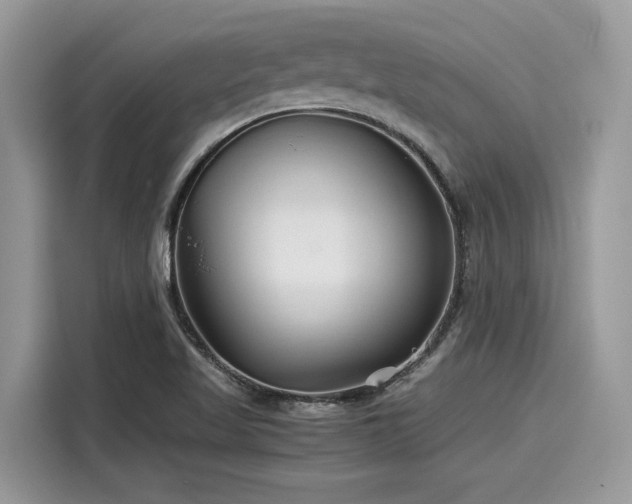 X0000116271509200911301203
