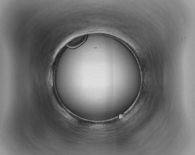 X0000116271510200911301203