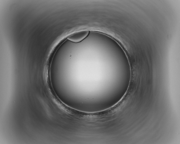 X0000116271511200911301203