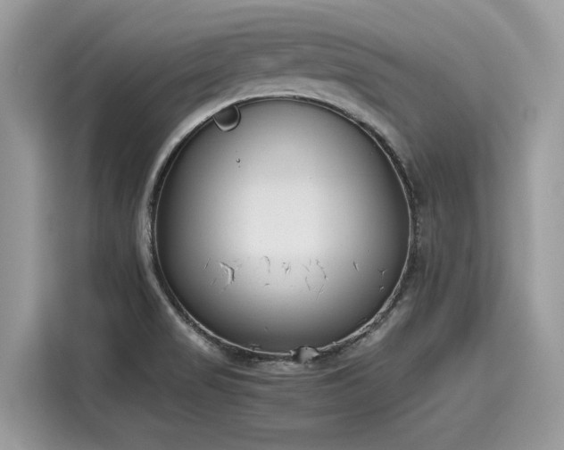 X0000116271517200911301203
