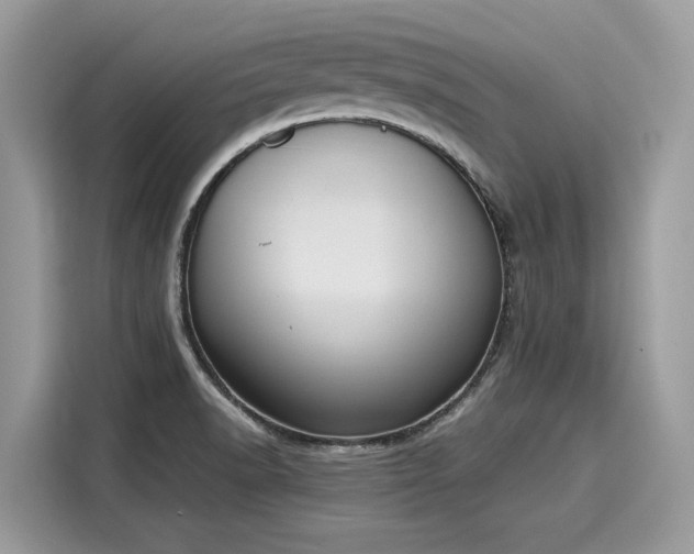 X0000116271518200911301203