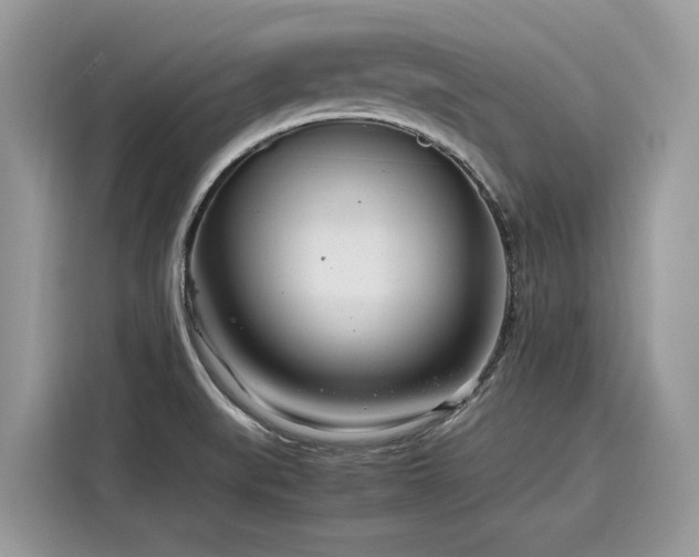 X0000116271519200911301203