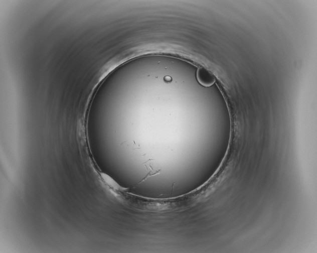 X0000116271521200911301203