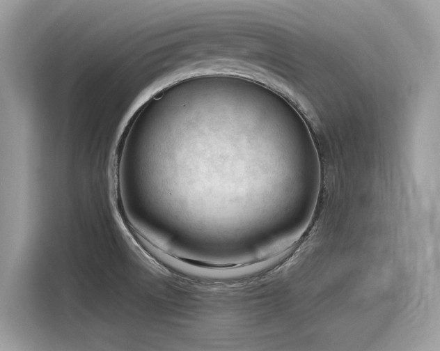 X0000116271522200911301203