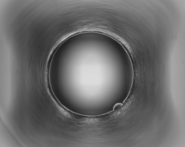 X0000116271525200911301203