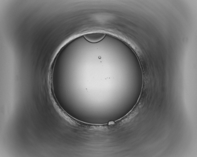 X0000116271526200911301203