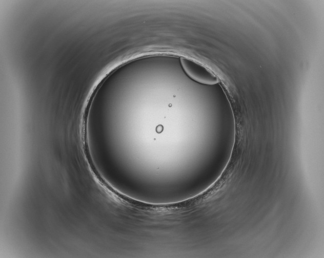 X0000116271527200911301203