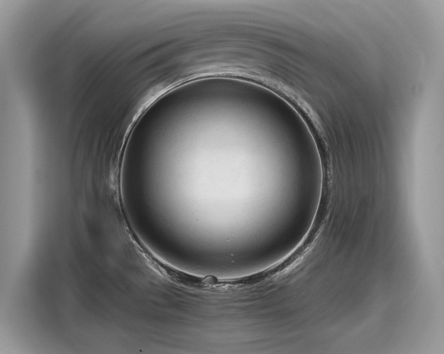X0000116271529200911301203