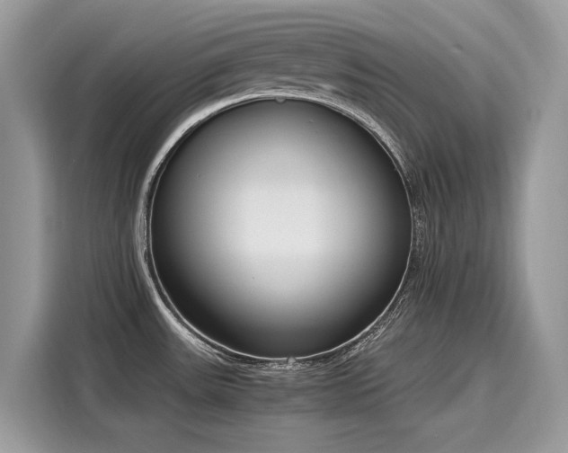 X0000116271531200911301203