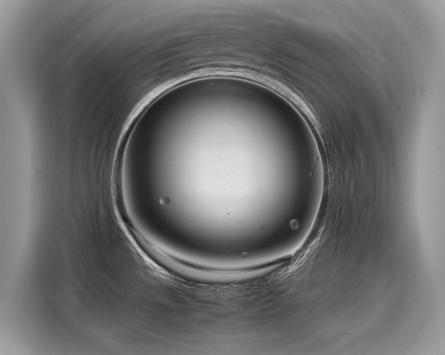 X0000116271533200911301203