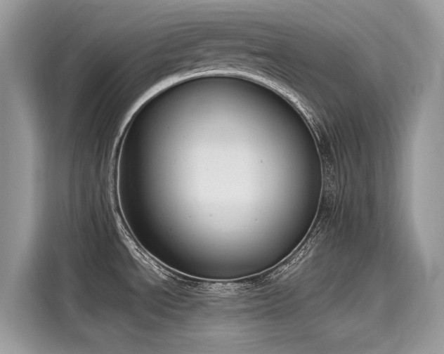 X0000116271534200911301203