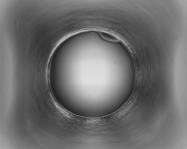 X0000116271535200911301203