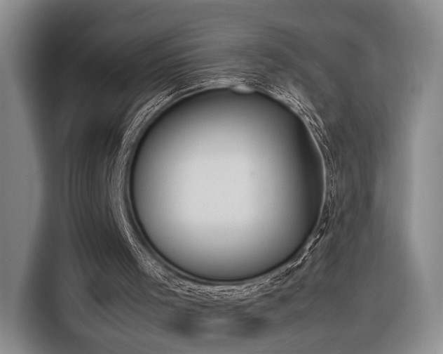 X0000116270001200912071051